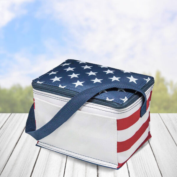 PROMO AMERICANA - 6-PACK COOLER