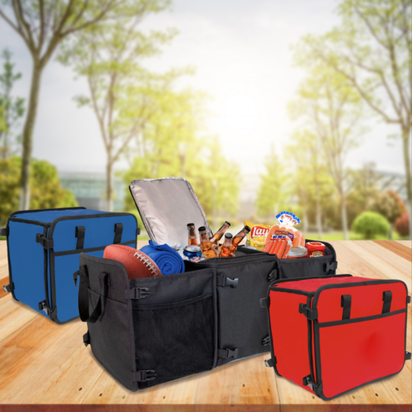 TAILGATE CARRYALL