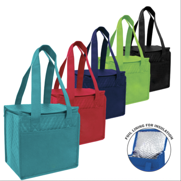 POLAR COMPACT COOLER BAG